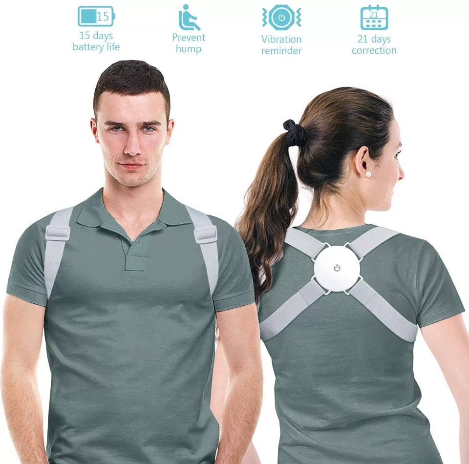 Adjustable Back Support Belt