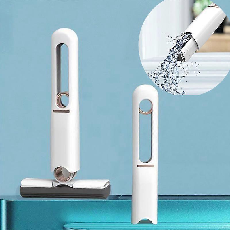 Portable Mini Sponge Cleaner