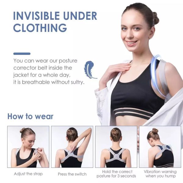 Adjustable Back Support Belt