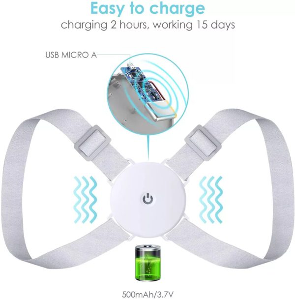 Adjustable Back Support Belt