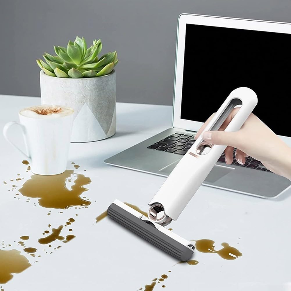 Portable Mini Sponge Cleaner