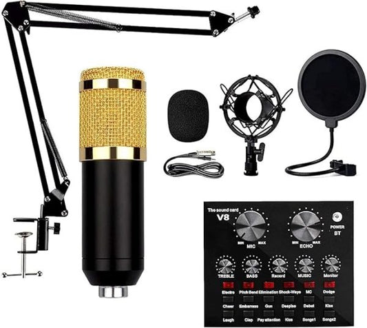 Podcast Mic Set