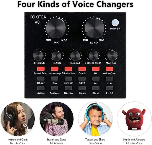 Podcast Mic Set