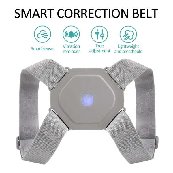 Adjustable Back Support Belt