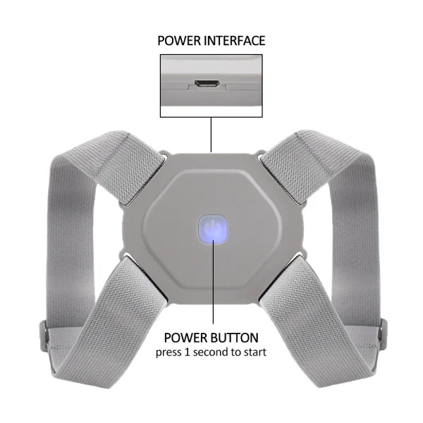 Adjustable Back Support Belt