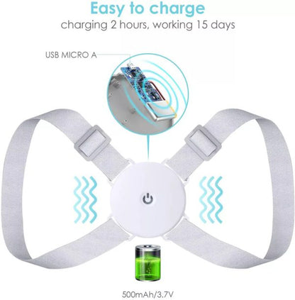 Adjustable Back Support Belt