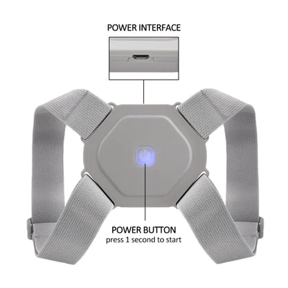 Adjustable Back Support Belt
